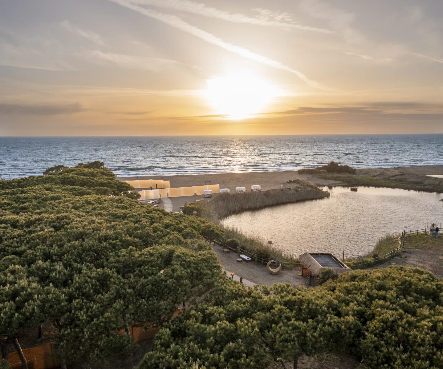 Guest gallery image 2